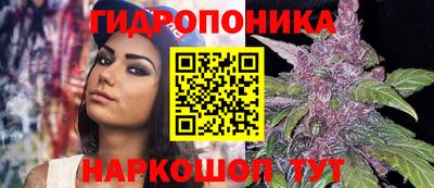 гидропоника Гагарин