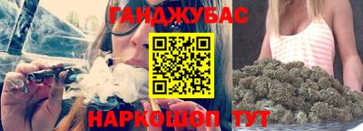 шишки Гай