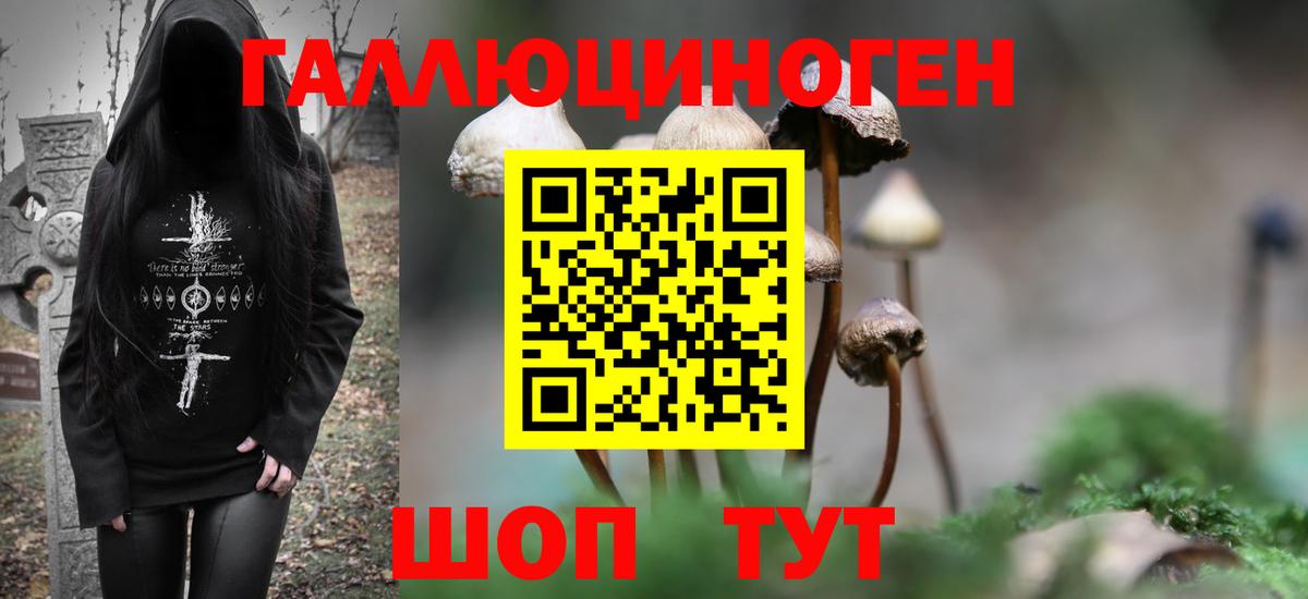 Ишимбай  Галлюциногенные грибы Magic Shrooms  Псилоцибиновые грибы ЛСД  Вход с VPN 