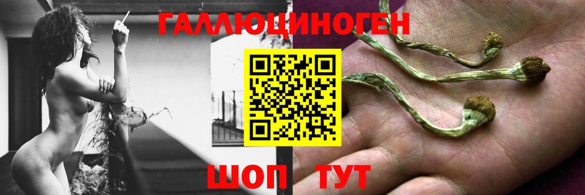 Псилоцибиновые грибы прущие грибы Ишимбай
